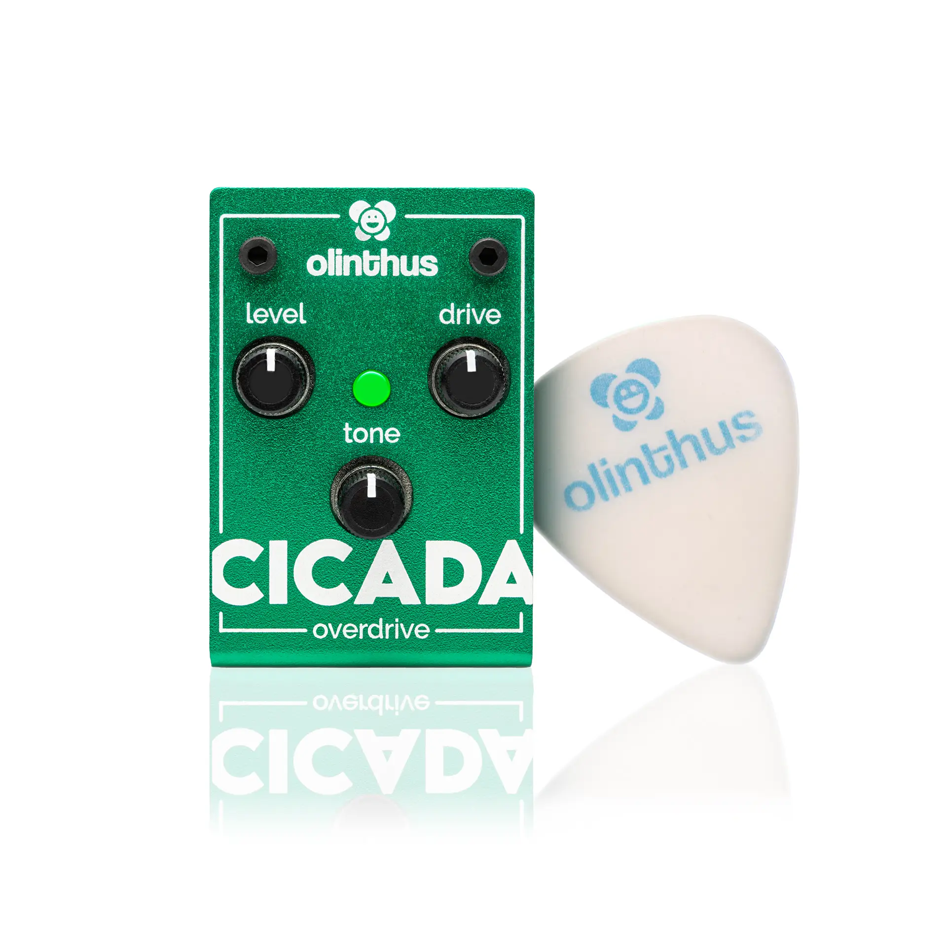 World's Smallest Effects Pedal! – Cicada Overdrive - Olinthus