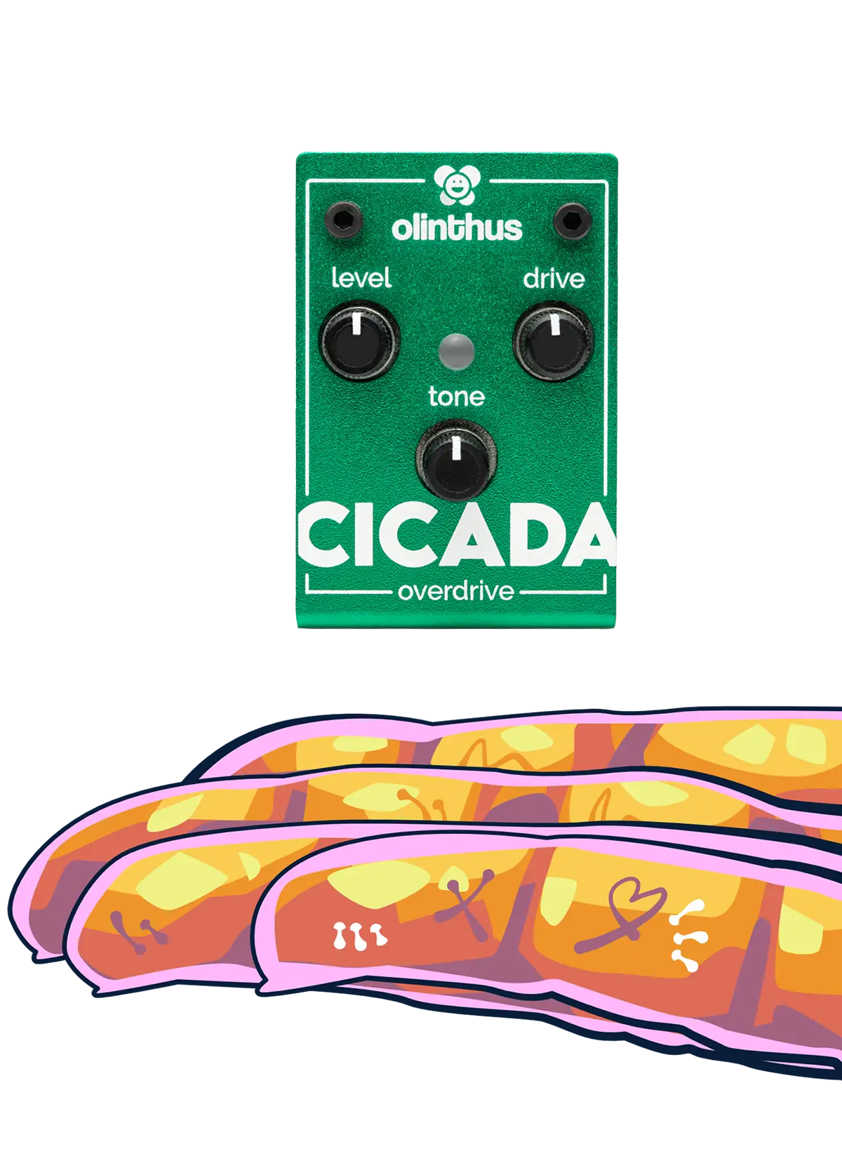 World's Smallest Effects Pedal! – Cicada Overdrive - Olinthus