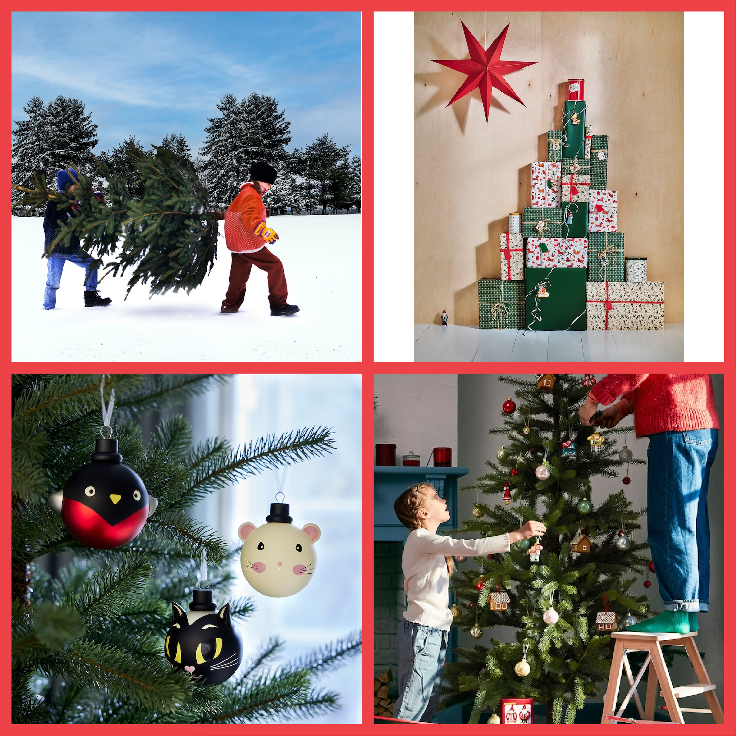 クリスマスツリー買った？イケア、本物のモミの木を11月23日（木・祝