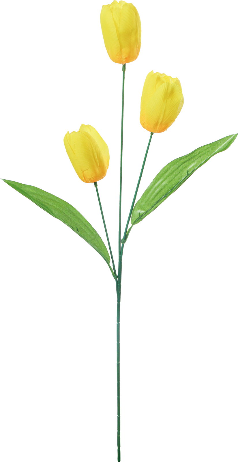 ﾁｭｰﾘｯﾌﾟ*3: クイックオーダーでのみ販売 ｜ YDMオンラインストア