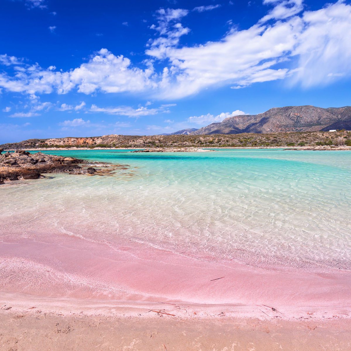 ギリシャ、クレタ島にあるエラフォニシビーチは、ピンク色をした珍しく