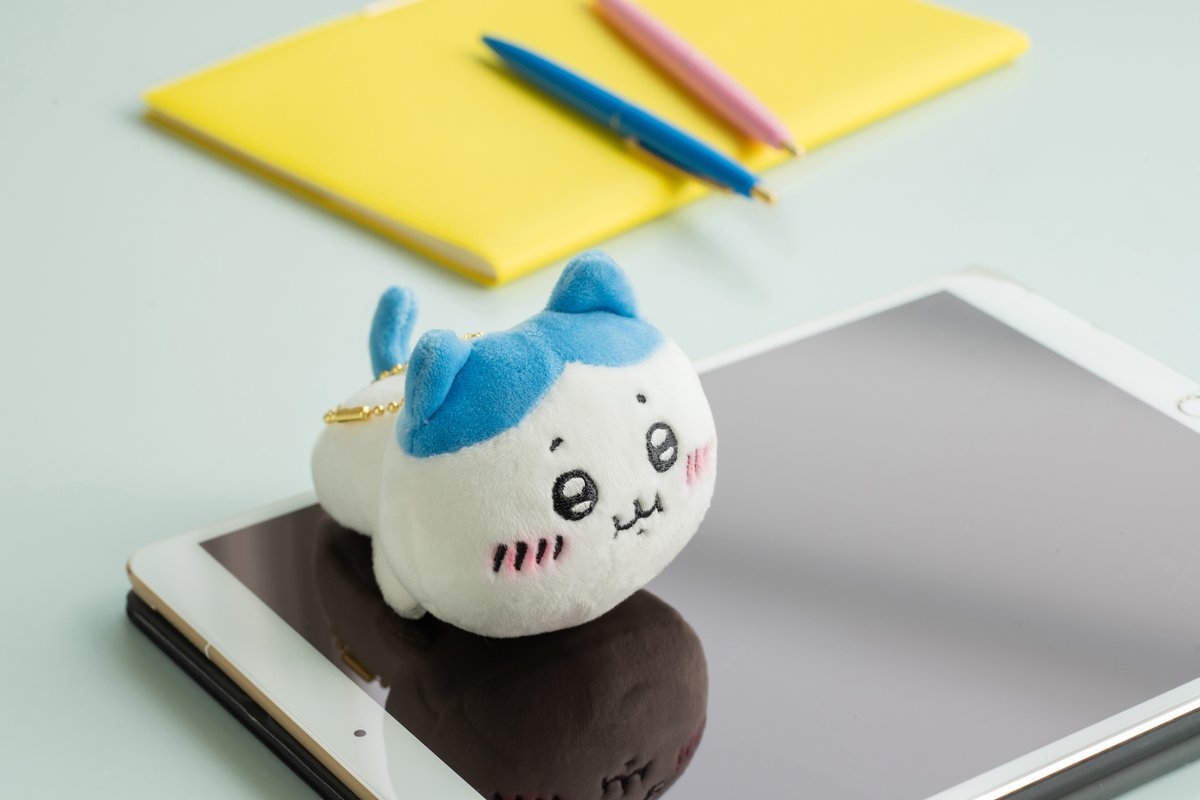 好評販売中🙌／ 『三つ星レストランのトルティーヤなマスコット