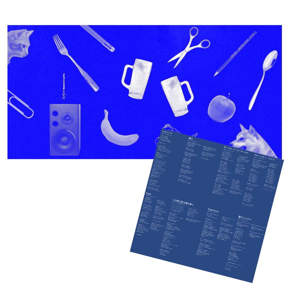 完全生産限定アナログ盤】 4/1(水)にリリースした2nd Full Album『hope