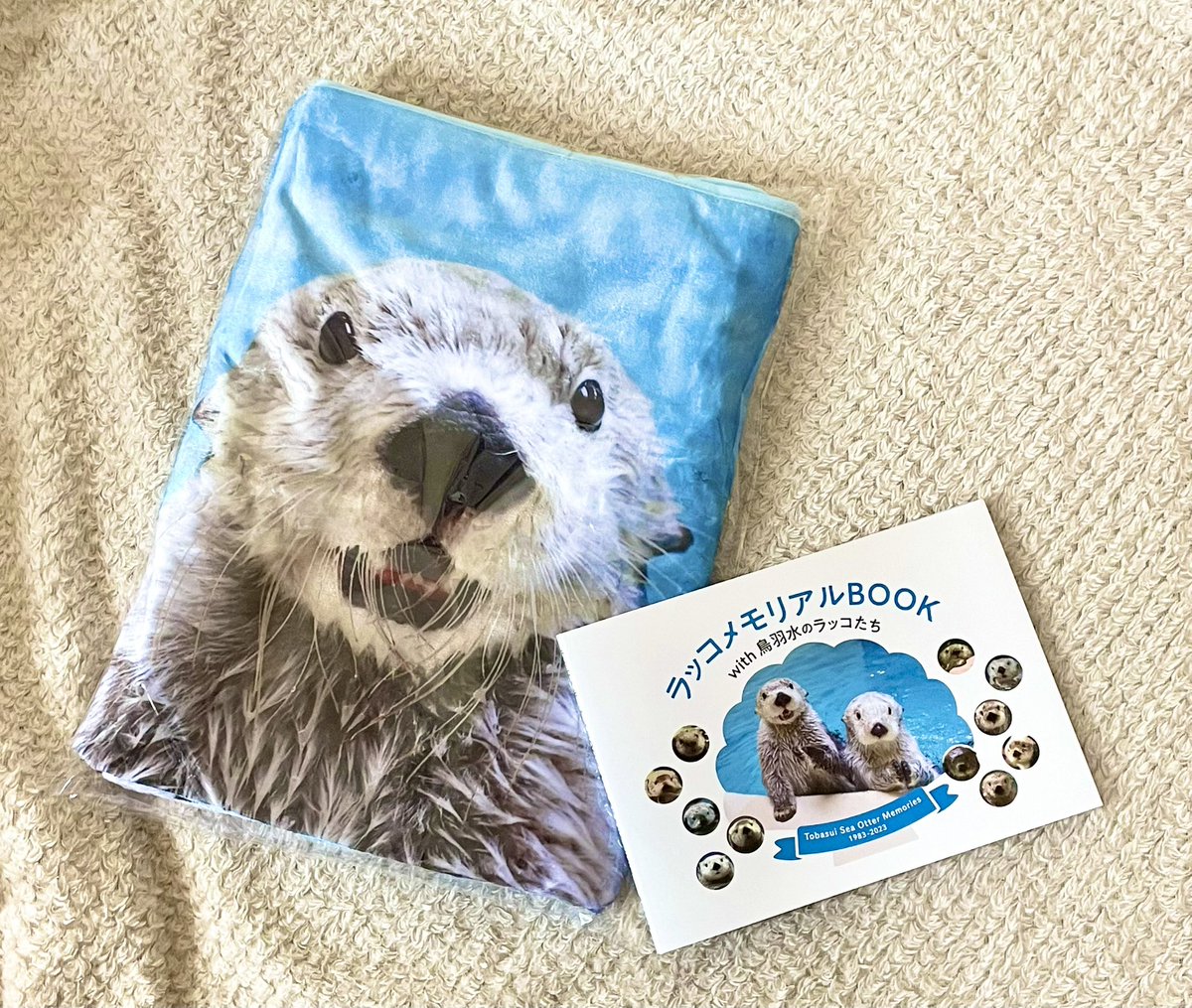 鳥羽水族館オリジナル写真集 ラッコのメイとキラ ラッコメモリアルBOOK