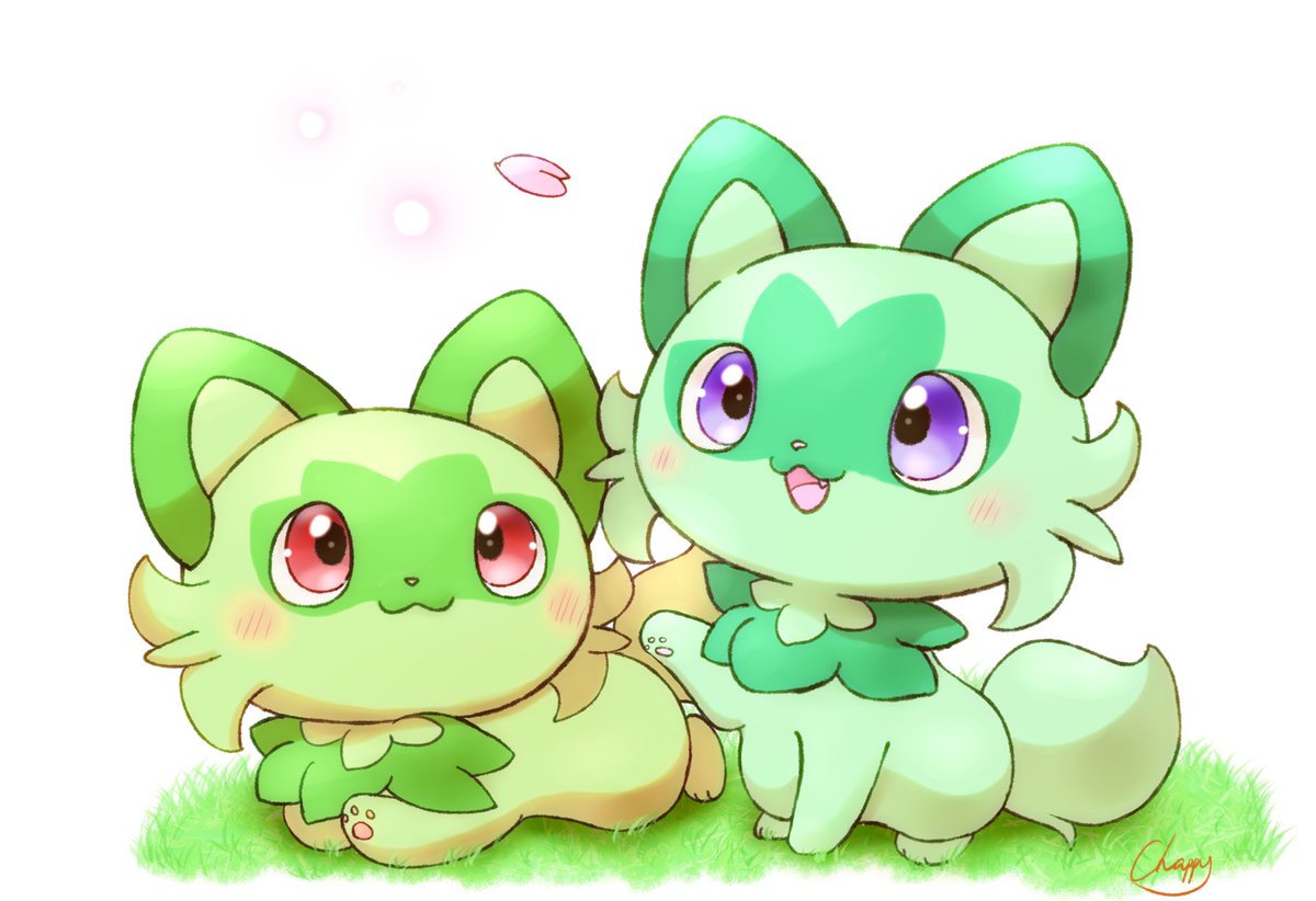 ニャオハこれくしょん🍀🐾