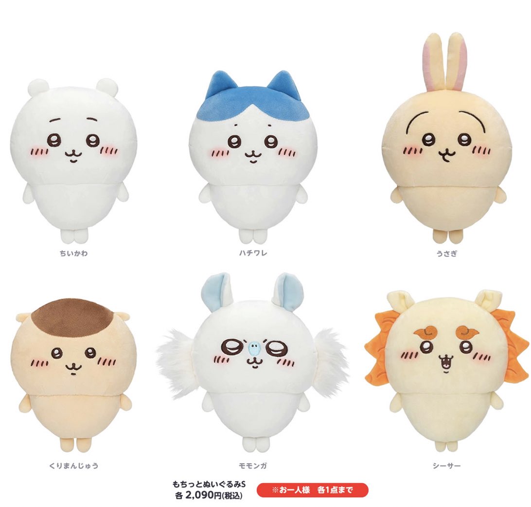 🌟新商品🌟 10/21（金）発売 ◾️もちっとぬいぐるみS 価格:2090円