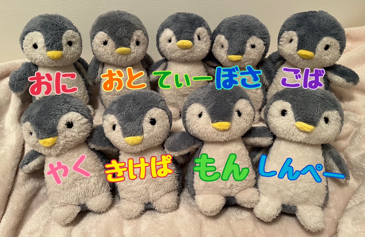 ペンギン #ぬいぐるみ #DAISO #ダイソー すえっこの なまえ きまった！