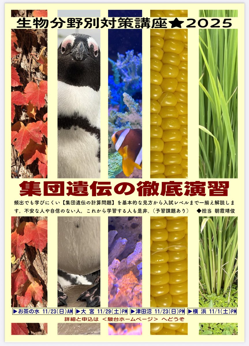 👑あさか王国👑【告知アカウント】 (@asakayasutoshi2) / Posts / X