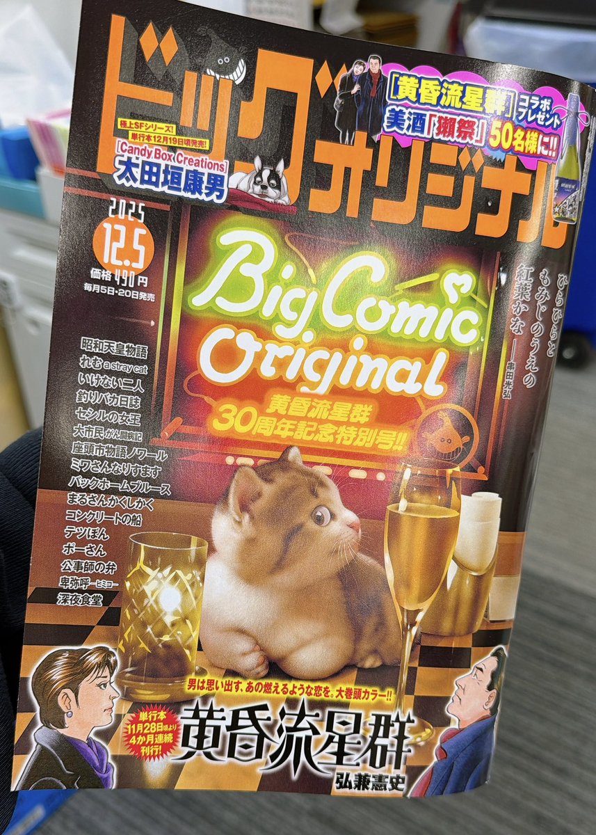 🌴#まるさんかくしかく 55話🌴】 最新話掲載の #オリジナル 23号発売中