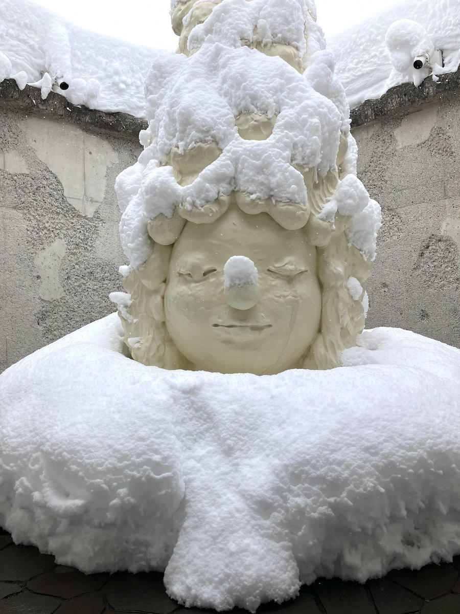 本日1/6の《Miss Forest / 森の子》です😅 Today's 'Miss Forest