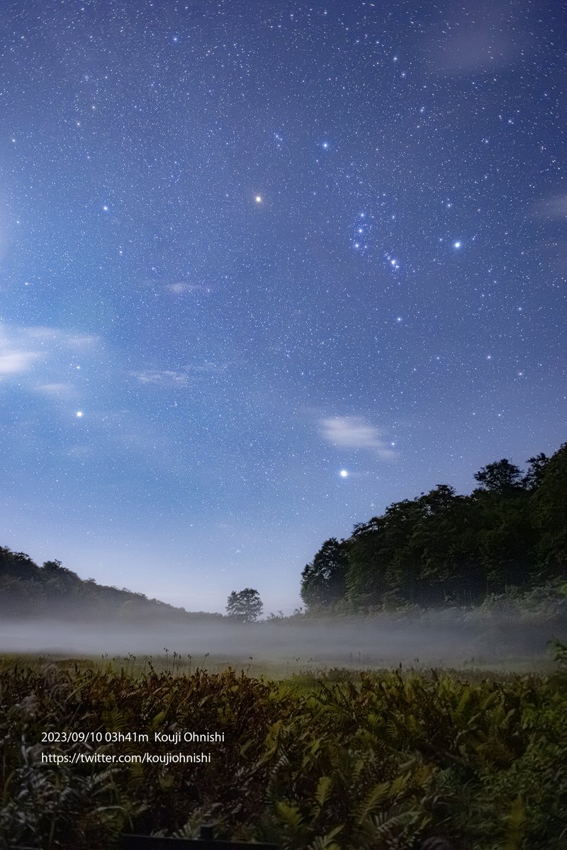 睡蓮の原野 星景ポスター 4枚 日 睡蓮の原野 星景ポスター 4枚 日
