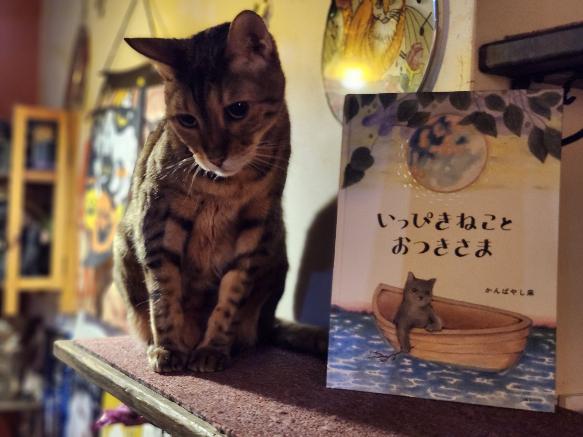 半額SALE】149,060→ 74,530猫油絵『猫珈琲店』 半額SALE】149,060