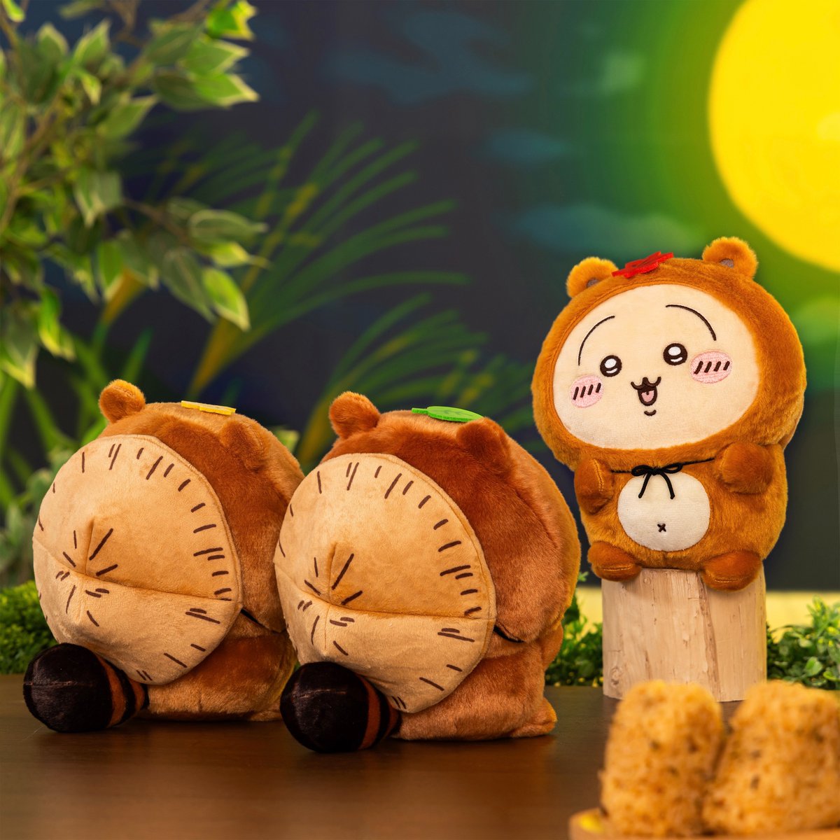 いよいよ明日から📣／ 『たぬきだもんくじ』が ついにあした 8/18(月