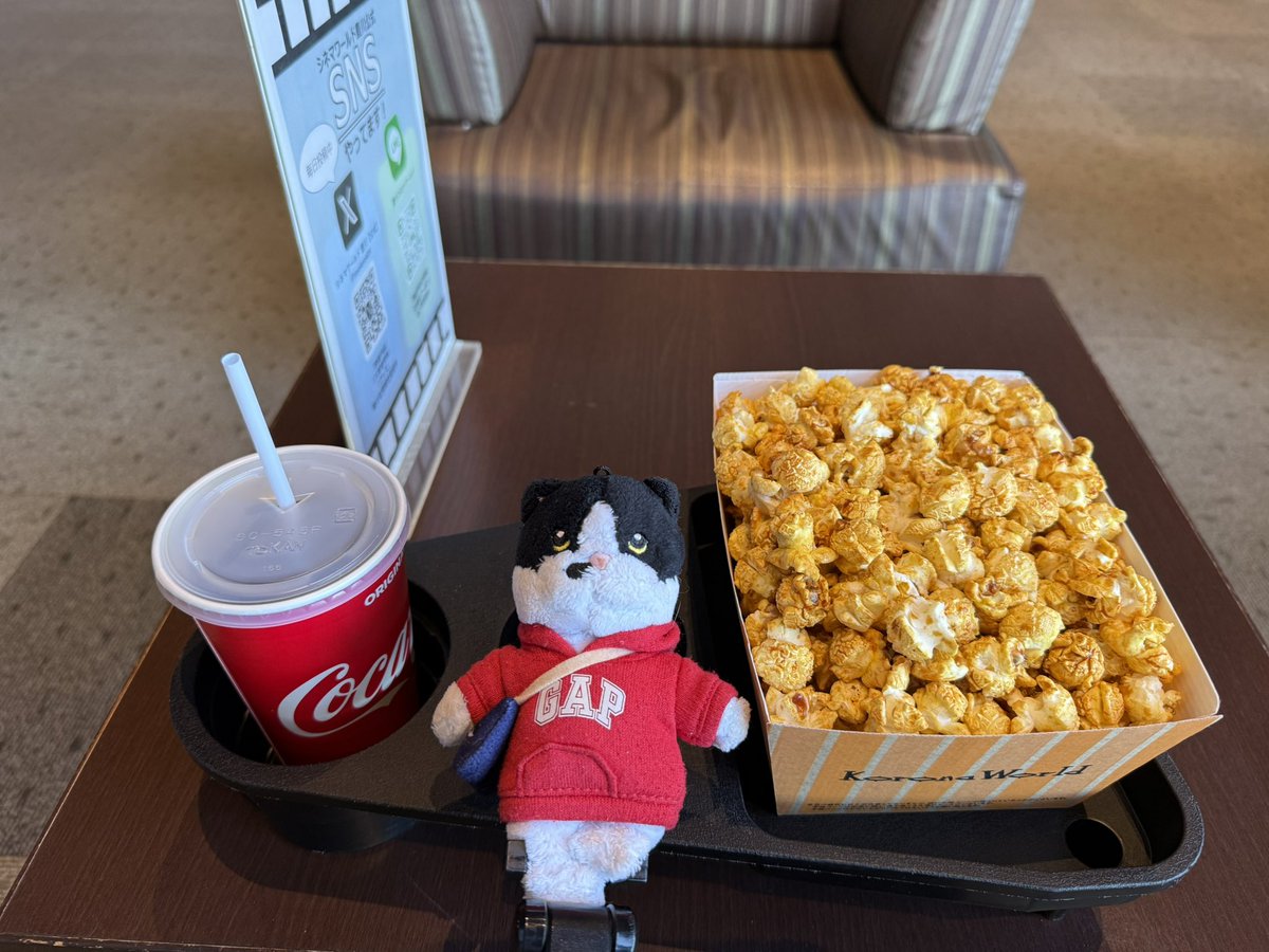 赤猫 杏 (@akanekoanzu) / Posts / X