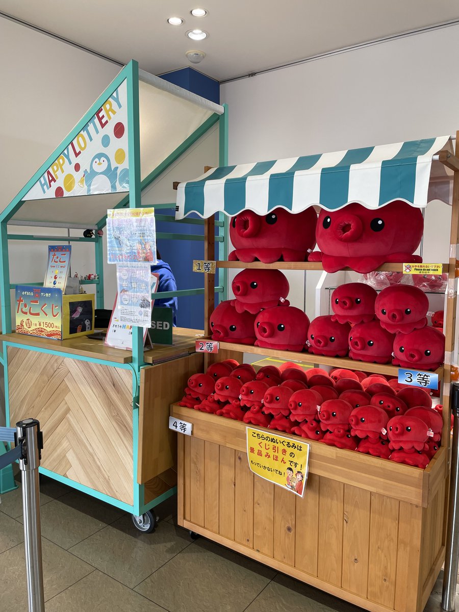 仙台うみの杜水族館】 ”置くと（試験に）パス！”オクトパス君コーナー