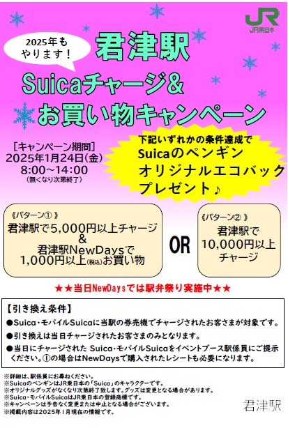 JR東日本 TYO限定オリジナルSuica 中古品 残金0円 チャージで使用可 JR