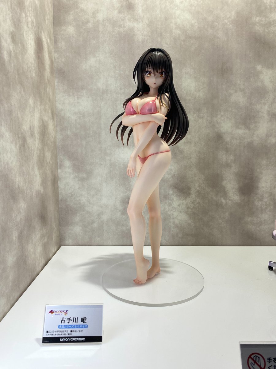 ◤￣￣￣￣￣￣￣￣￣￣￣￣￣ WF展示情報 ______◢ 『To LOVEる