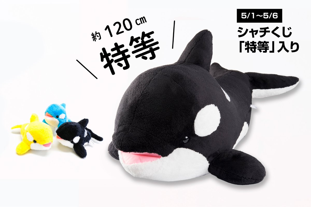 5月1日(木)～5月6日(火)の期間限定で、ハズレなしのぬいぐるみくじ