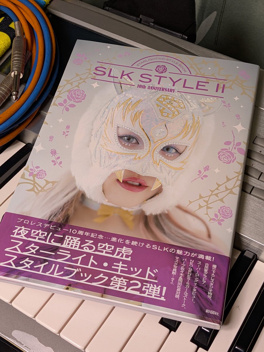 直筆サイン本〉 SLK STYLE BOOK 1 & 2 / トレカ無 2026年最新】スター