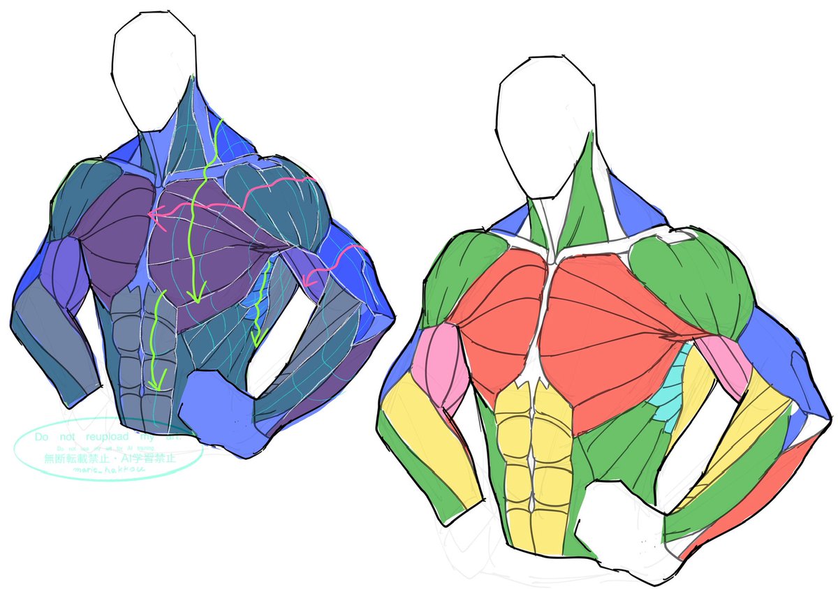 まりーむ@筋肉の絵描き (@marie_hakkou) / Posts / X