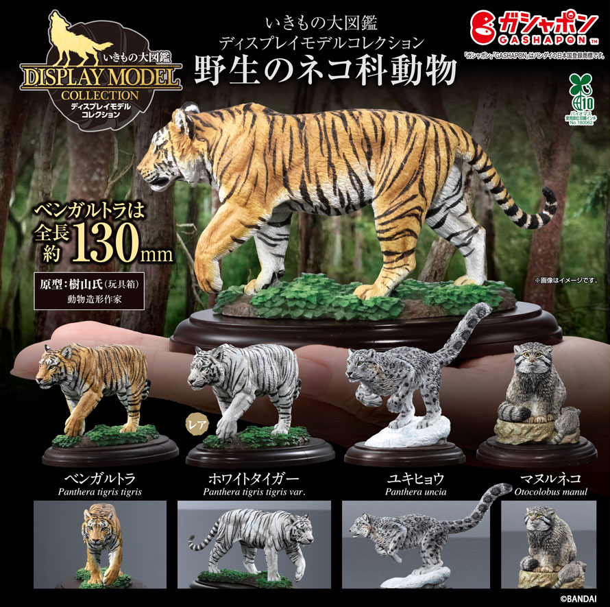 한국엔 언제들어오나