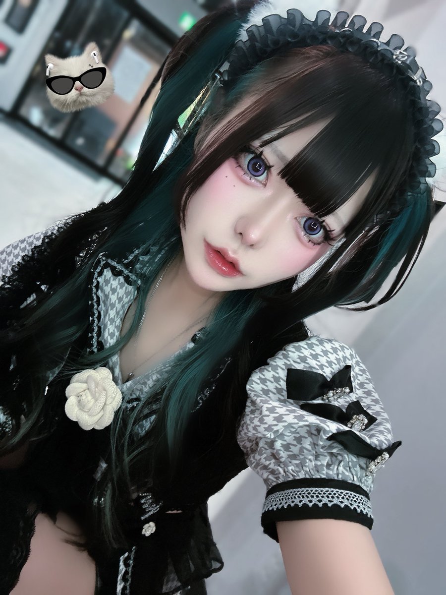 逃げ猫 にゃんにゃん🎶