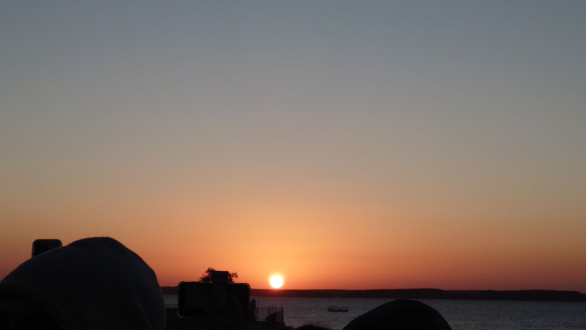 はるの (@haruno102030) / Posts / X