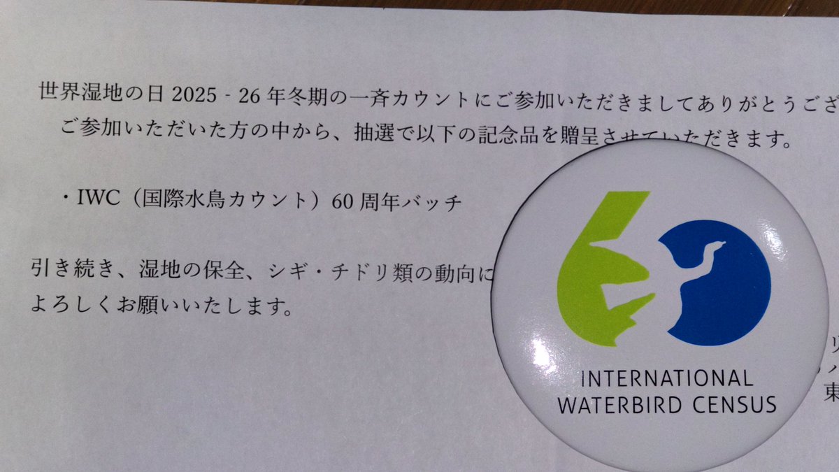 缶バッジ届いてた！ありがとうございます！