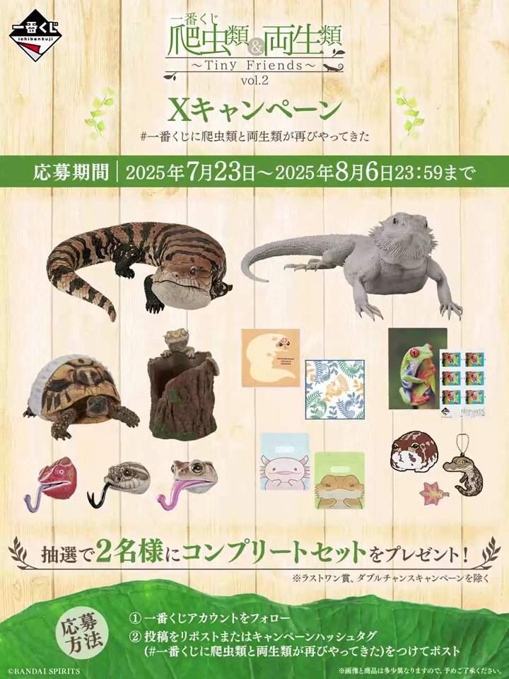 🦎Xキャンペーン実施中🦎 ～2025/8/6(水)23:59まで⏰ 一番くじ 爬虫類