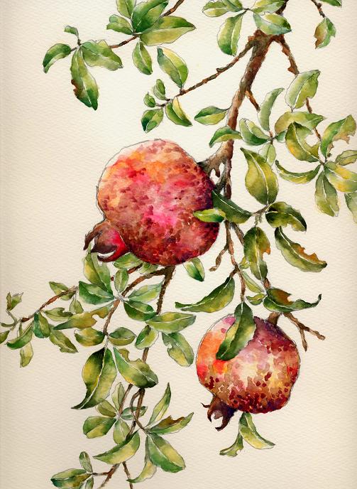 柘榴～水彩画 : 油絵画家、永月水人のArt Life