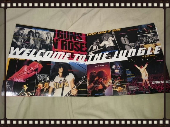 GUNS N' ROSES / LIVE ERA : '87 - '93 紙ジャケ : 無駄遣いな日々