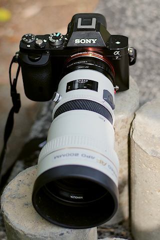 銀塩一眼レフ・クラッシックス（29）MINOLTA α-7 Limited : 【匠の