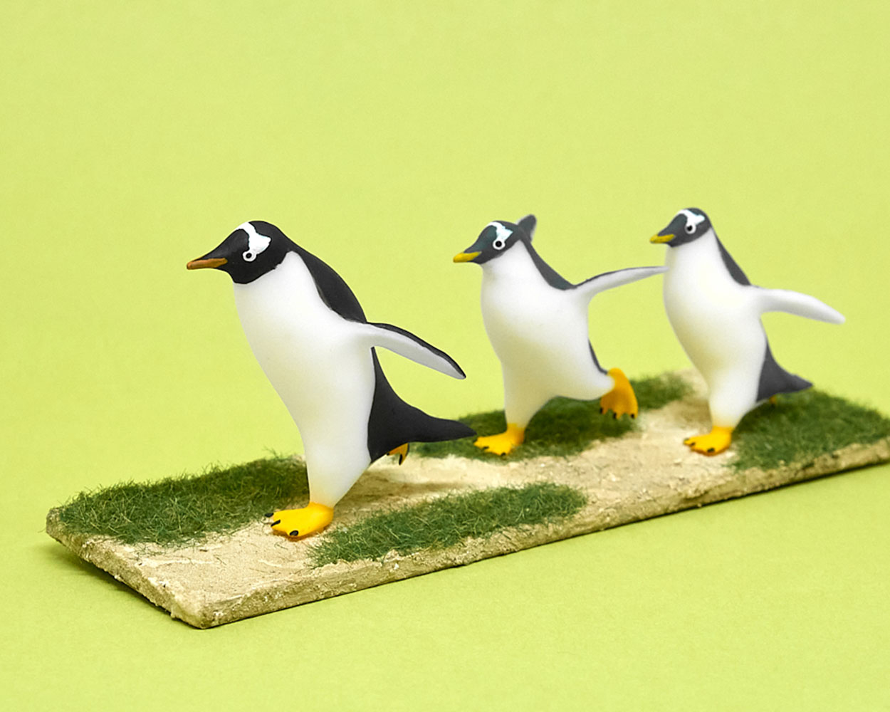 出品者紹介：こびとぺんぎん | ならペンギンランド