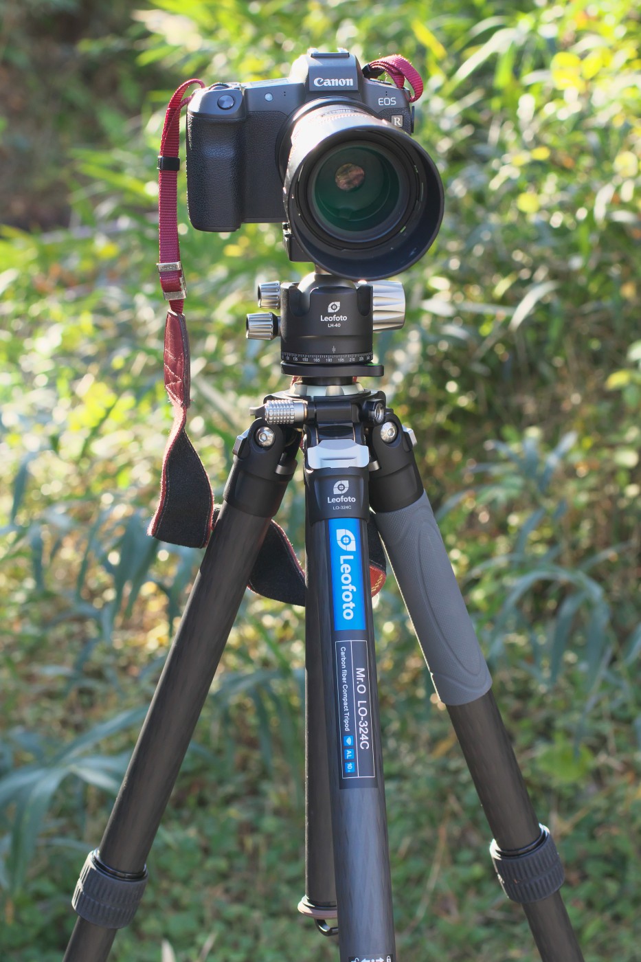 石井孝親：Leofoto LO-324C+LH-40 × 石井孝親 スペシャルレビュー