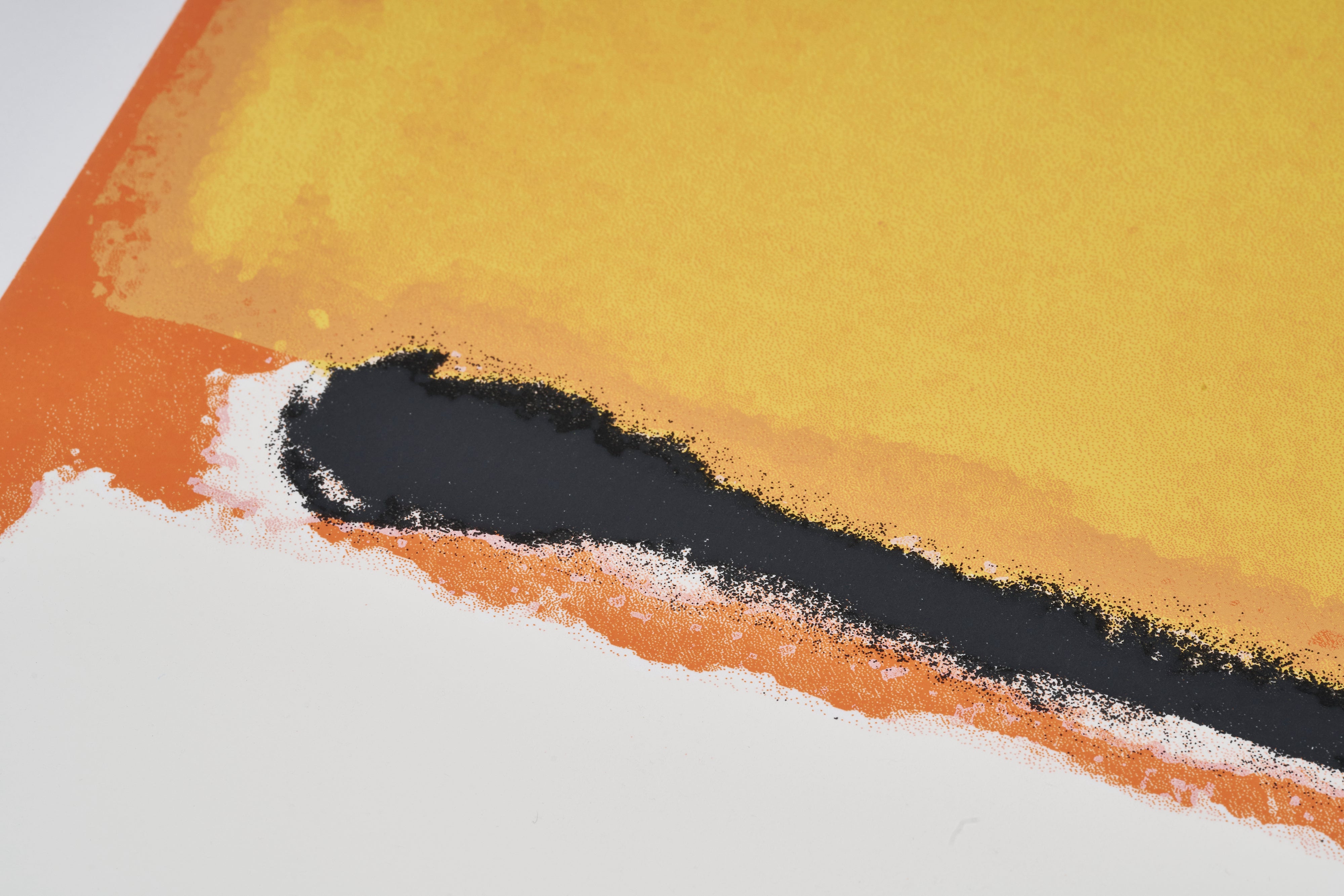 限定10枚】WHITE CENTER 1950 - BELGIQUE EDITIONS Pierre D'Harville