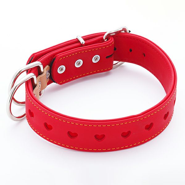 ⭐︎チワワさん専用⭐︎ aiboプレミアムプラン限定 首輪 赤 青 aibo