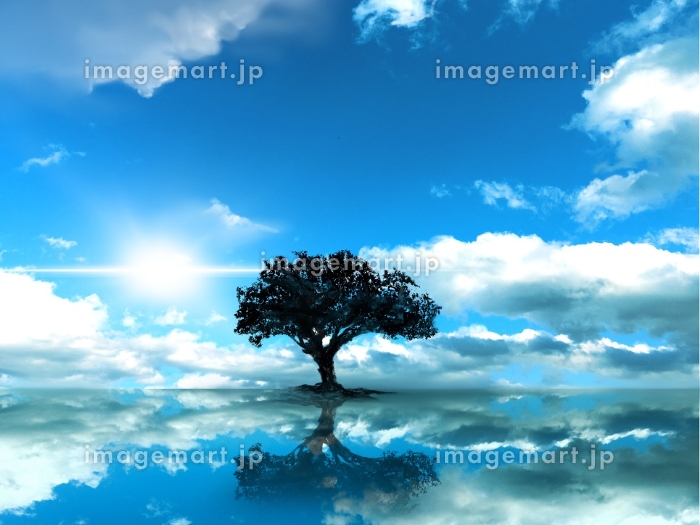 青空が反射する湖の上に立つ木のシンプルなシルエット風景イラスト