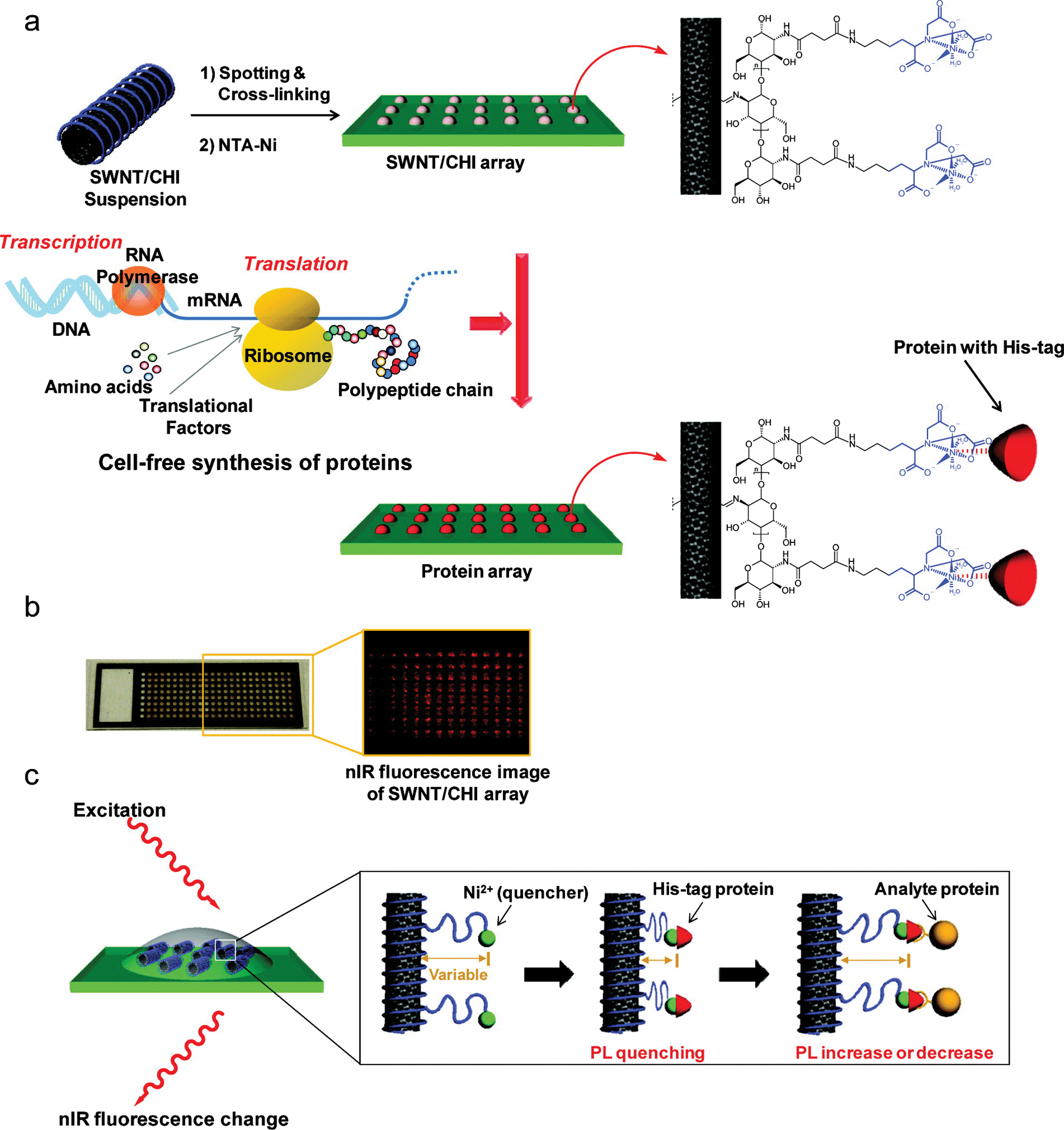 洋書 carbon-containing polymer composites 洋書 carbon-containing