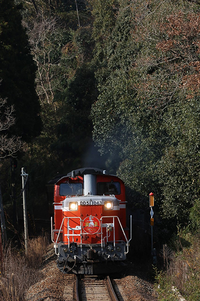 鉄道プレート 両面 アルプス/たてしな 鉄道プレート 両面 アルプス/た