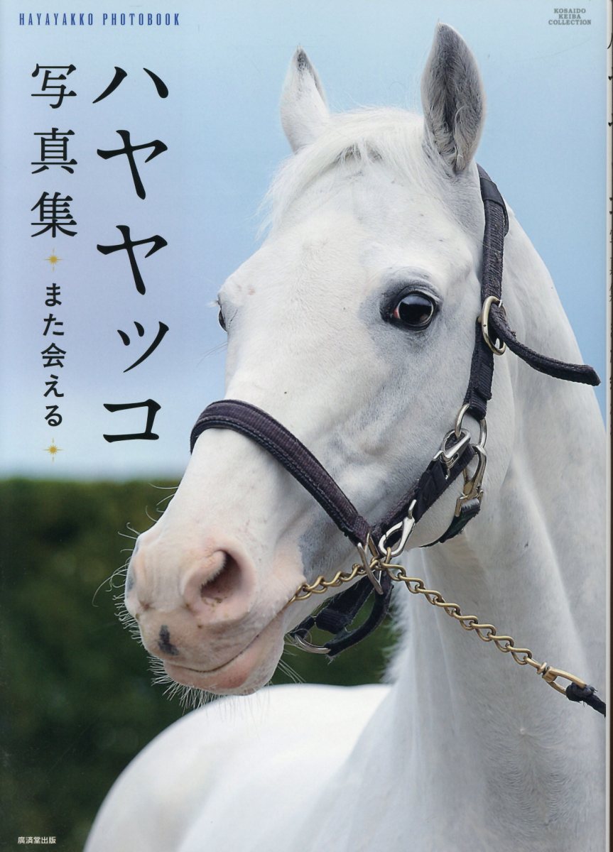 楽天市場】白夜書房 競馬予想理論method 競走馬の本能を馬券推理