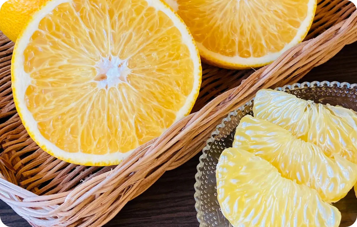 美味しいミカン八朔（はっさく）の通信販売【和歌山県有田市産】