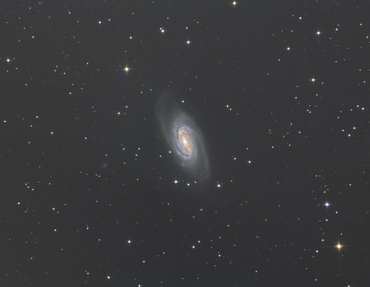 NGC2903 | しし座の渦巻銀河 | 天体写真の世界