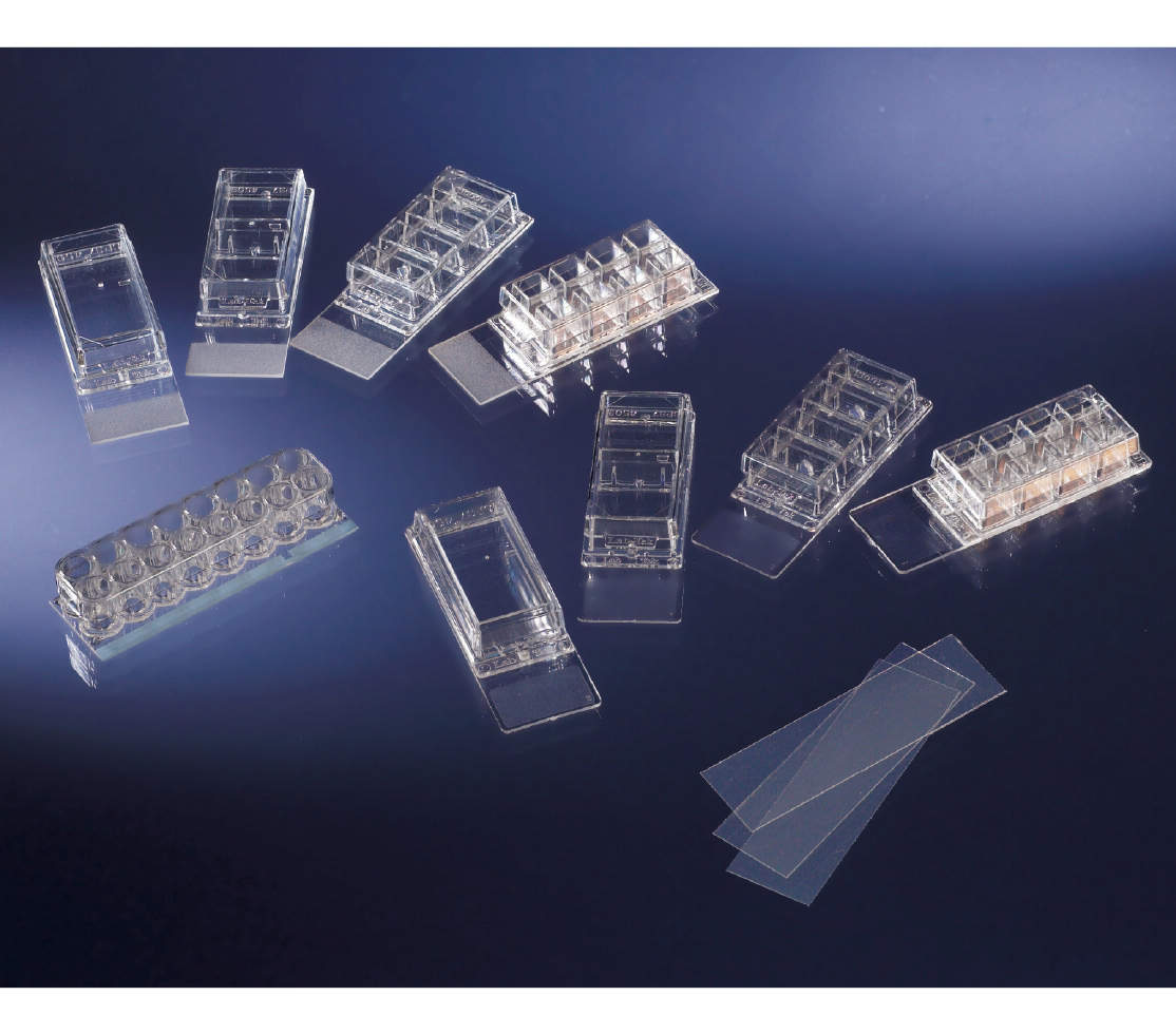 ヌンク №177402 16入 チェンバースライドシステム｜総合的