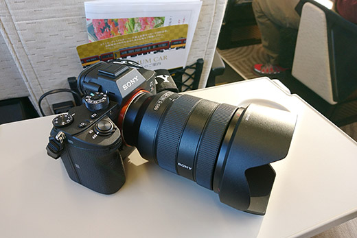 α7R III （ILCE-7RM3） 試し撮りしてきました！ほとんどのものが撮れる