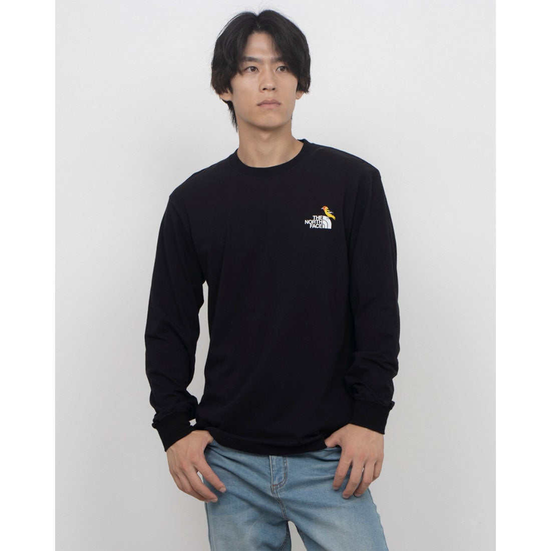 ザ・ノース・フェイス THE NORTH FACE メンズ アウトドア 長袖Tシャツ