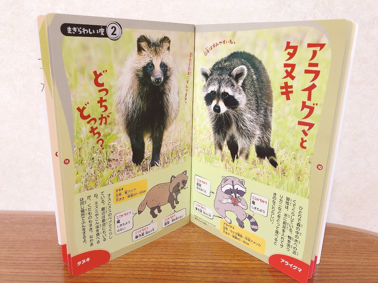 絵本「でしいりすいぞくかん」とミニ図鑑「世界一まぎらわしい動物図鑑