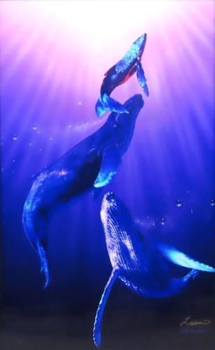 レインボーシー | ｜正光画廊