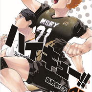 ハイキュー!!」完結記念、日向や影山たちのサイン入りミカサボールを