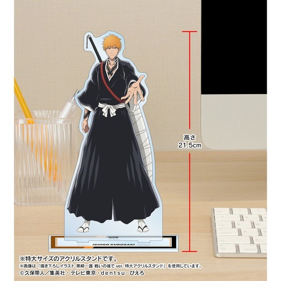 BLEACH 千年血戦篇 描き下ろしイラスト 平子真子 戦いの後でver. 特大