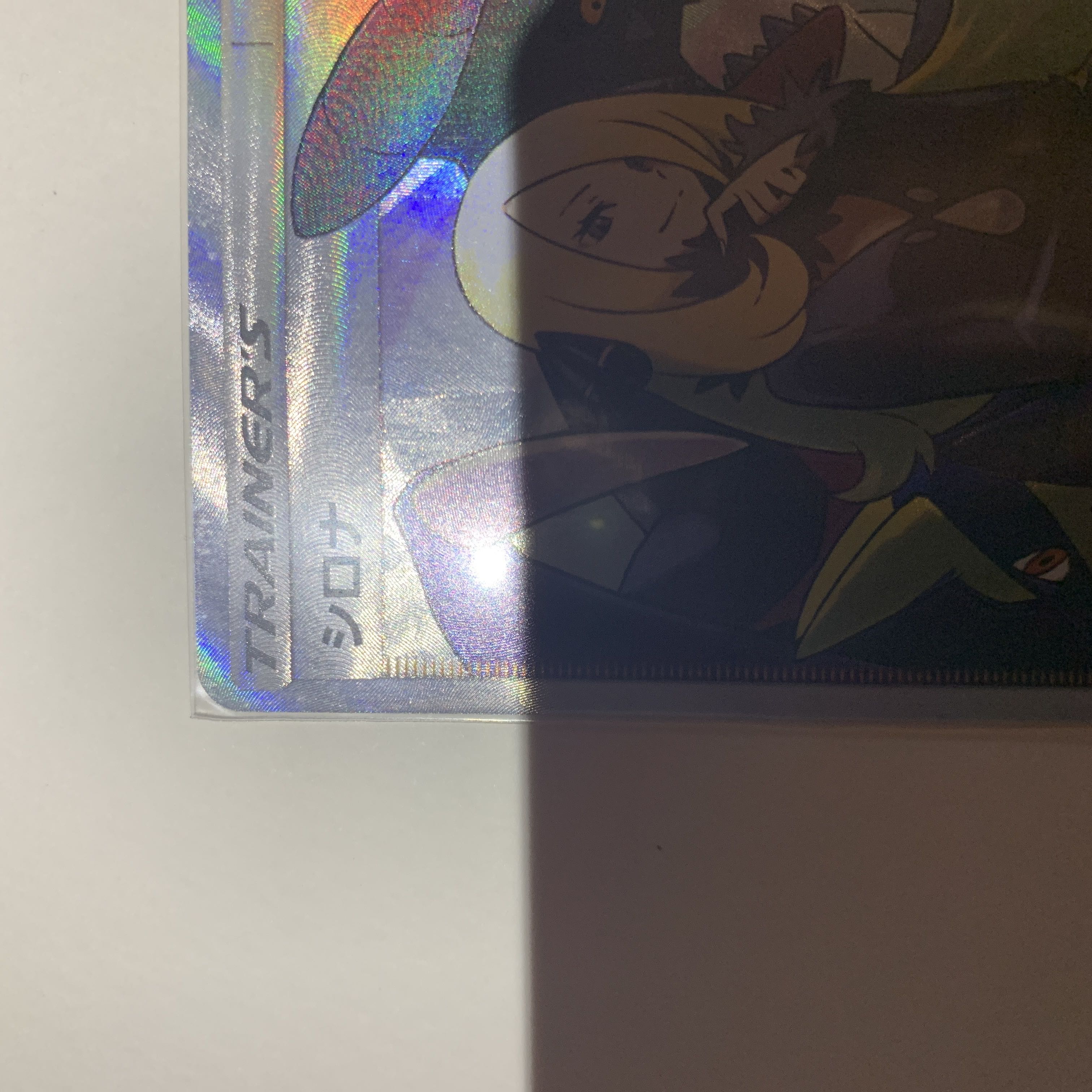 シロナ SR 153/150 1枚の通販 ライキ（1164678884） | magi